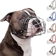 Bronzedog pitbull dog for sale  Delivered anywhere in UK