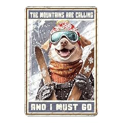 Funny ski decor for sale  Delivered anywhere in USA 