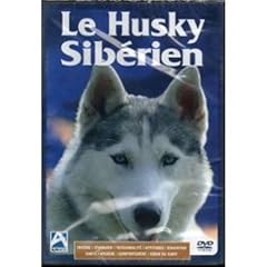 Husky siberien d'occasion  Livré partout en Belgiqu