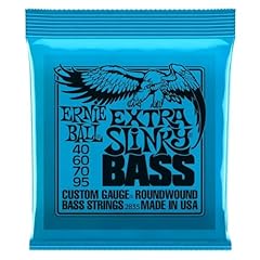 Ernie ball extra gebraucht kaufen  Wird an jeden Ort in Deutschland
