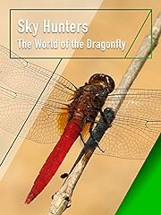 Sky Hunters - The World of the Dragonfly for sale  Delivered anywhere in USA 