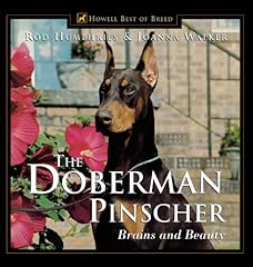 Doberman pinscher for sale  Delivered anywhere in USA 