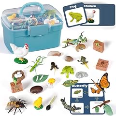Life cycle learning for sale  Delivered anywhere in USA 