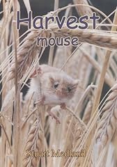 Harvest mouse for sale  Delivered anywhere in UK