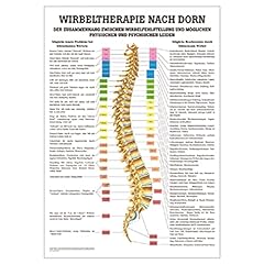 Dorntherapie lehrtafel anatomi gebraucht kaufen  Wird an jeden Ort in Deutschland