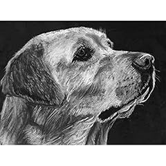 Labrador retriever gift for sale  Delivered anywhere in UK