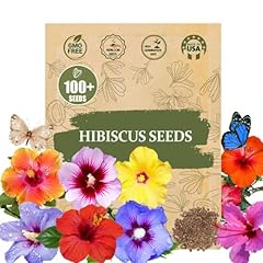 Premium hibiscus grandiflorus for sale  Delivered anywhere in USA 