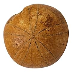 Mucklily pièces spécimen d'occasion  Livré partout en France