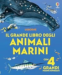 Libroni usborne grande usato  Spedito ovunque in Italia 
