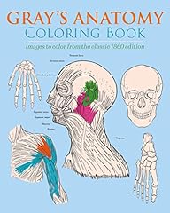 Gray anatomy coloring for sale  Delivered anywhere in USA 