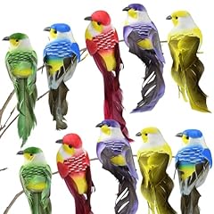 Oiseaux decoratifs pcs d'occasion  Livré partout en France
