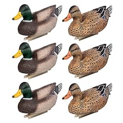 Heerweiyi mallard duck for sale  Delivered anywhere in USA 