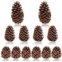 Huwena pcs pinecones for sale  Delivered anywhere in USA 