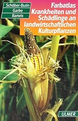 Farbatlas krankheiten schädli gebraucht kaufen  Wird an jeden Ort in Deutschland