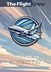 Pilotare boeing 737 usato  Spedito ovunque in Italia 