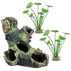 Zgdeiwgf testa albero usato  Spedito ovunque in Italia 
