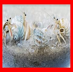 Live small marine for sale  Delivered anywhere in USA 