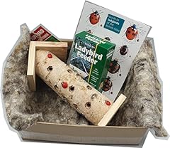 Ladybird house giftbox for sale  Delivered anywhere in UK