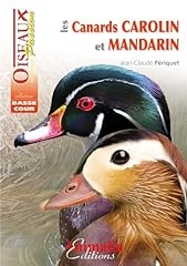 elevage canard mandarin d'occasion  Livré partout en France