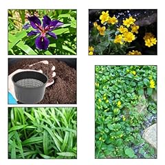 Lincolnshire pond plants for sale  Delivered anywhere in UK