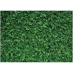 Lywygg 7x5ft green for sale  Delivered anywhere in UK