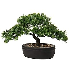 Kunstbonsai naturgetreue küns gebraucht kaufen  Wird an jeden Ort in Deutschland