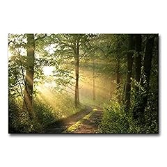 Forest wall art for sale  Delivered anywhere in USA 