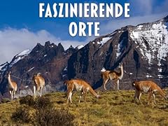 Masai mara safari gebraucht kaufen  Wird an jeden Ort in Deutschland