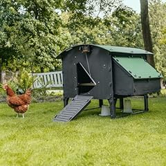 Plastic chicken coop for sale  Delivered anywhere in USA 