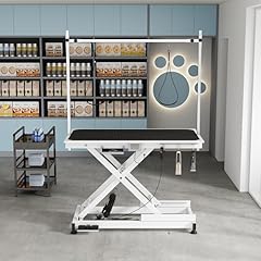 Afqxf electric lift for sale  Delivered anywhere in USA 