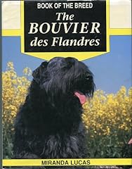 The bouvier flandres d'occasion  Livré partout en France