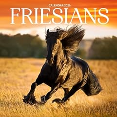 Friesian horses 2026 for sale  Delivered anywhere in UK