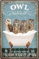 Funny owl decor for sale  Delivered anywhere in USA 