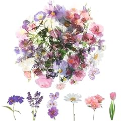 120 transparente scrapbooking gebraucht kaufen  Wird an jeden Ort in Deutschland