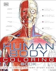 Human body coloring for sale  Delivered anywhere in USA 