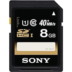 Sony 8gb sdhc usato  Spedito ovunque in Italia 