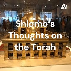 Shlomo thoughts the usato  Spedito ovunque in Italia 