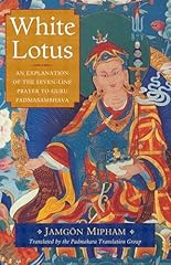 White lotus explanation d'occasion  Livré partout en France
