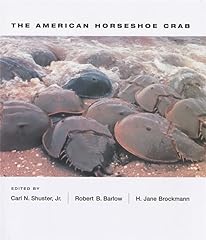 American horseshoe crab for sale  Delivered anywhere in USA 