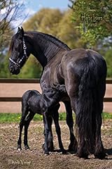 Friesian horse lovers for sale  Delivered anywhere in UK