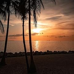 Key west sunsets usato  Spedito ovunque in Italia 