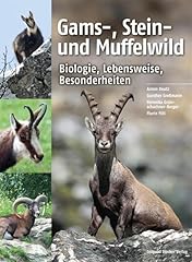 Gams stein muffelwild gebraucht kaufen  Wird an jeden Ort in Deutschland