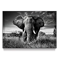 Elephant black white for sale  Delivered anywhere in USA 