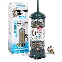Squirrel proof bird for sale  Delivered anywhere in UK