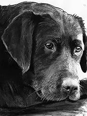 Black lab charcoal for sale  Delivered anywhere in UK