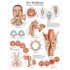 Scientific lehrtafel laminiert gebraucht kaufen  Wird an jeden Ort in Deutschland