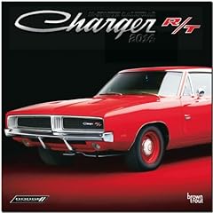 Dodge charger 2014 for sale  Delivered anywhere in Ireland