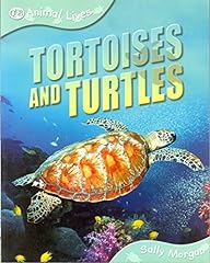 Tortoises turtles for sale  Delivered anywhere in USA 