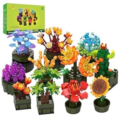 Jmbricklayer botanical succule for sale  Delivered anywhere in UK