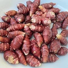 Tuberi topinambur freschi usato  Spedito ovunque in Italia 